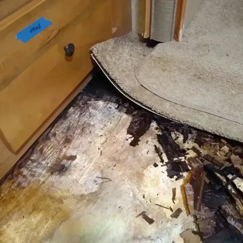 Best Wood Floor Water Damage Service in Beresford, SD